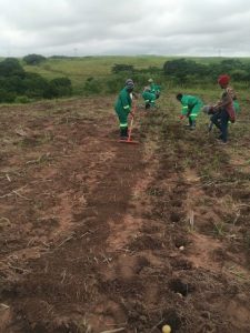 PHOTO-2023-12-07-10-25-15