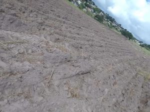 PHOTO-2024-03-25-10-12-19