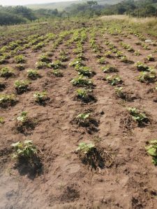 PHOTO-2024-05-21-10-49-54